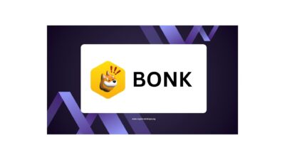 bonk coin airdrop
